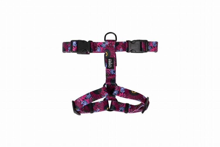 SZELKI DLA PSA GUARD CHABA szelki regulowane szelki klasyczne szelki spacerowe szelki dla małego psa lekkie szelki wygodne szelki szelki z regulacją szelki codzienne szelki miejskie szelki treningowe szelki bez uciskowe szelki na spacer