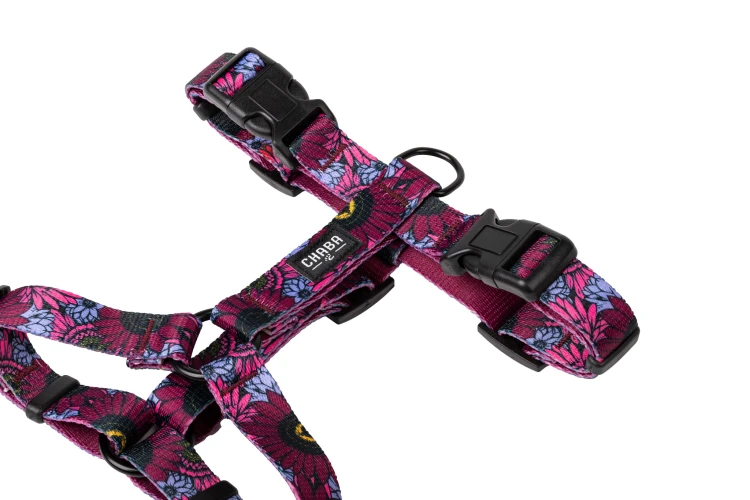 SZELKI DLA PSA GUARD CHABA szelki regulowane szelki klasyczne szelki spacerowe szelki dla małego psa lekkie szelki wygodne szelki szelki z regulacją szelki codzienne szelki miejskie szelki treningowe szelki bez uciskowe szelki na spacer