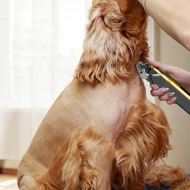 maszynka do strzyżenia psa ,grooming psów,akcesoria groomera,prezent dla,właściciela psa,profesjonalna maszynka,domowe strzyżenie psa