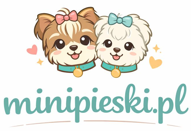 Logo sklepu dwa małe pieski biały i brązowy - strona główna
